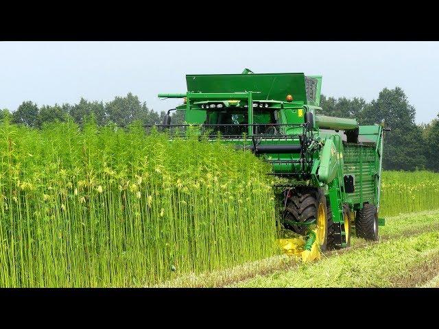 Hempflax/Groenoord  hempharvest 2019 Double Cut Combine.