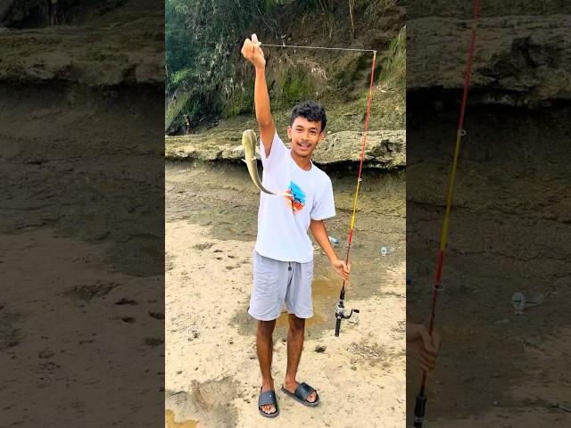 mancing ikan baung umpan usus ayam vs umpan odading? mana yang lebih gacor #mancingmania #mancing