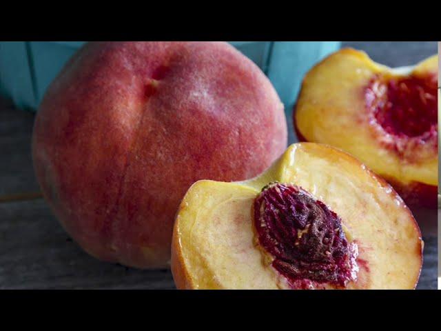 How To Grow Peaches From Seed Start to Finish