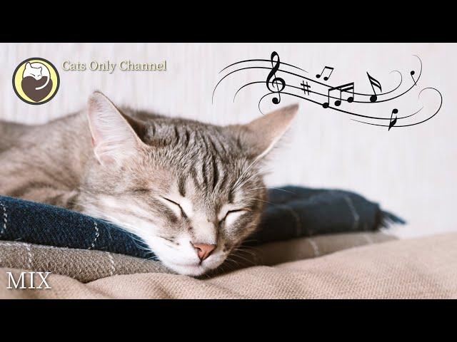 Deep Relaxation Music for Cats (with Cat Purring Sounds) - Stress and Anxiety Relief