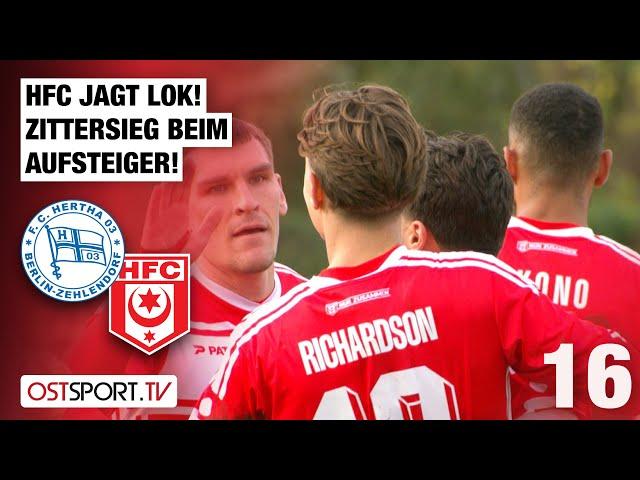 HFC jagt LOK! Zittersieg beim Aufsteiger: Hertha Zehlendorf - Hallerscher FC | Regionalliga Nordost