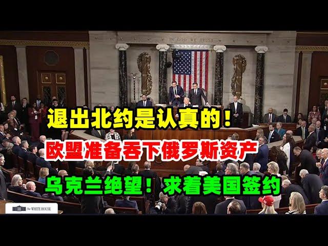 黄金价格走势：3月5日泽连斯基求着美国签约 特朗普吞下乌克兰成定局！欧盟准备吞下俄罗斯4000多亿！#白银价格走势  #原油价格走势 #黄金价格