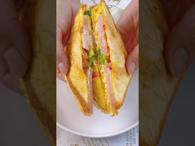 I Tried This Sandwich Maker So You Don’t Have To!