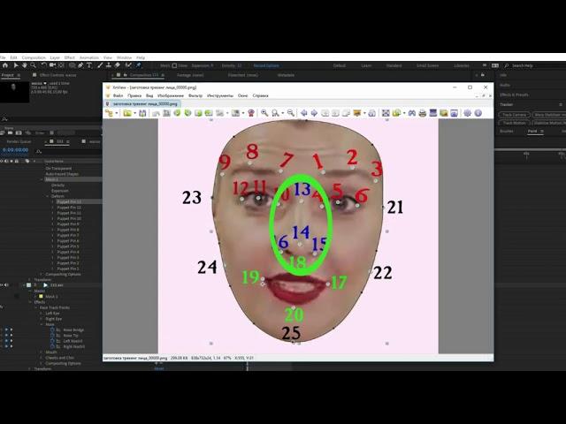 Face Tracking  урок  по захвату движения лица  After Effects CC