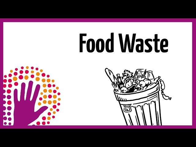 Food Waste - What You Should Know