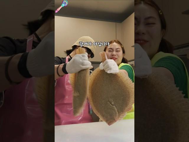 광어회를 가장 맛있게 요리하는 방법 @soobingsootv
