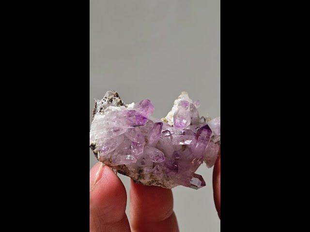 Vercruz Amethyst #28