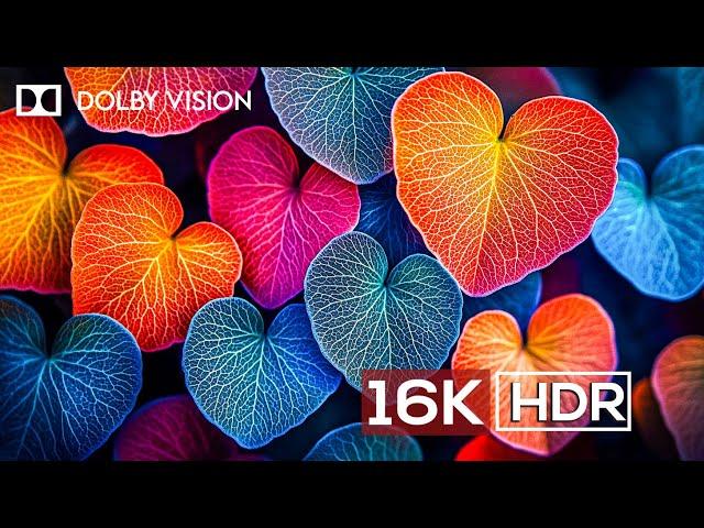 Special Dolby Vision 4k HDR 60FPS - (4K Video ULTRA HD)