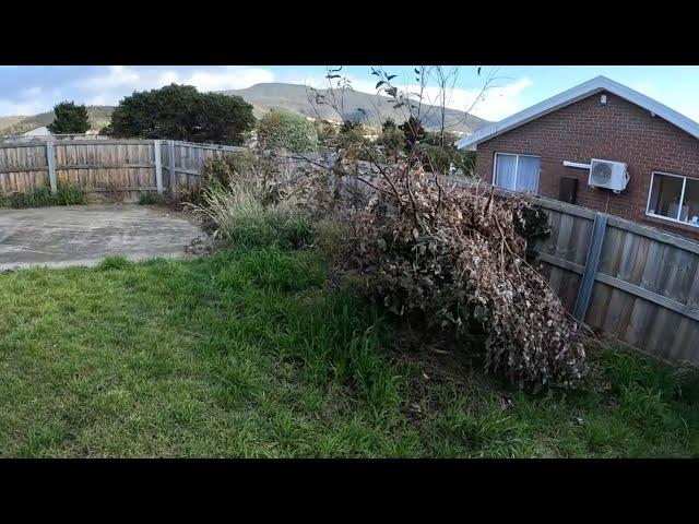 Rescuing an Overgrown Yard - The Results Left the Neighbors Speechless!