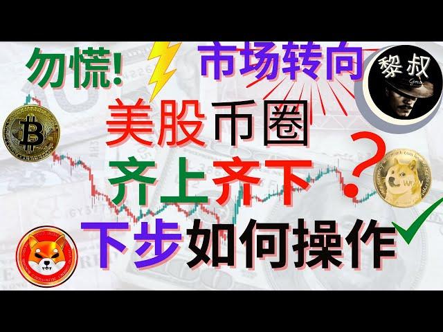 狗狗币 分析|shib币 分析系列： 市场太疯狂，这两天币圈和美股双双爆涨，又突然双双暴跌，不要慌张！来看看到底发生了什么，以及后面如何应对？ 比特币 分析|shib