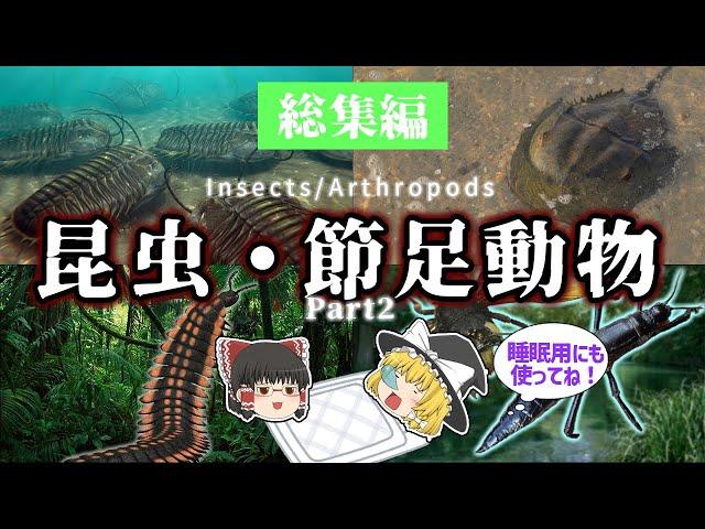 【睡眠用・ゆっくり解説】昆虫・節足動物 Part.2　カブトガニ/アースロプレウラ/三葉虫など【広告最初のみ　途中広告なし】