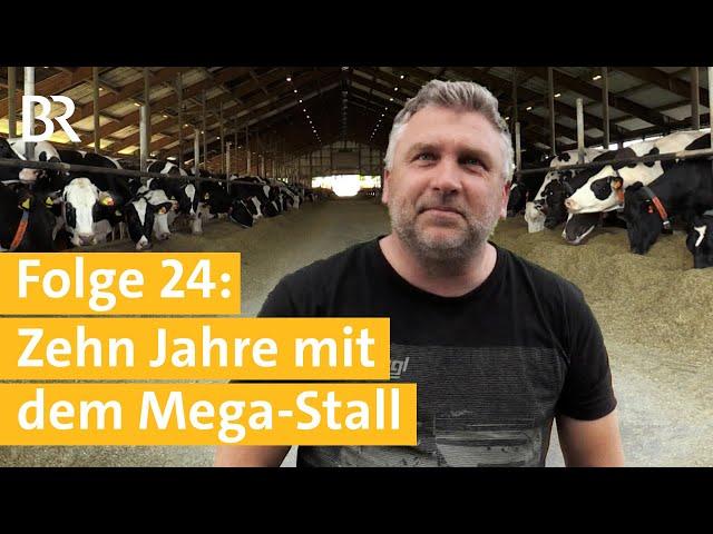 Stallgeschichten #24: Wie läuft es 10 Jahre nach dem Bau des XXL-Kuhstalls? | Unser Land | BR