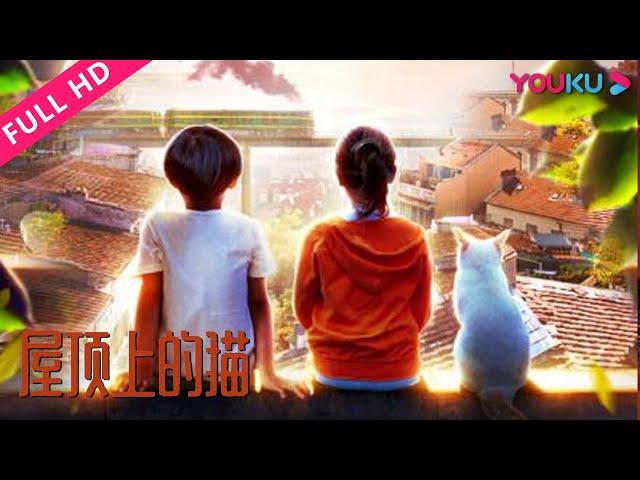 [Cat On The Roof] Urban | YOUKU MOVIE