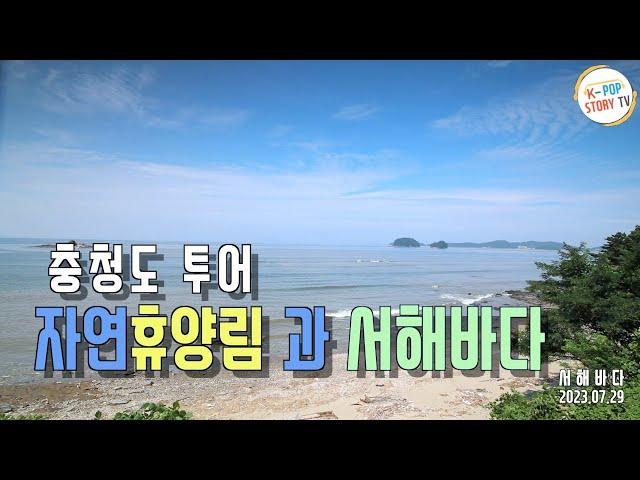 서해바다와 해수욕장 그리고 자연휴양림 풍경영상(케이팝스토리TV)