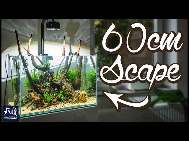 60cm Aquarium einrichten im Insel-Style | AquaOwner