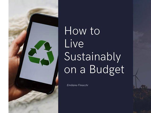 How to Live Sustainably on a Budget