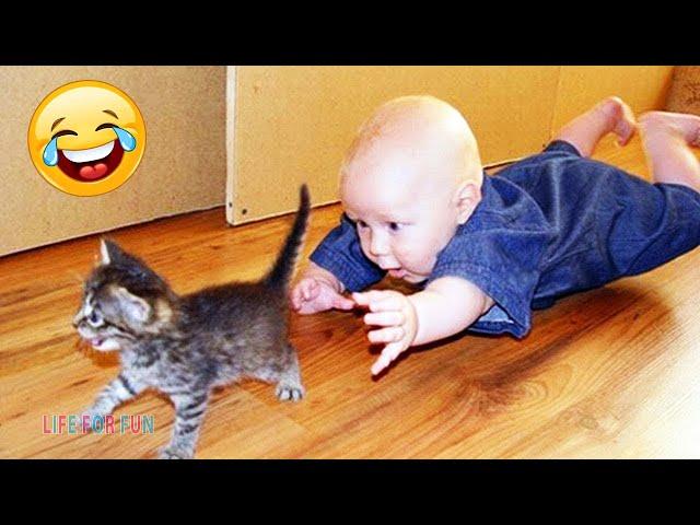 Смешные видео о детях и животных ● приколы с котами и собаками / Funny Baby Playing With Cats