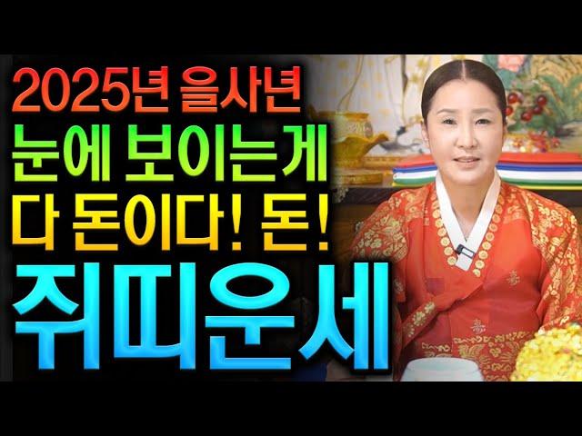 ⭐미리보는 2025년 을사년 신년운세 쥐띠운세⭐2025년 대운이다 금전운 대박나는 쥐띠에게 생길 큰 변화들 쥐띠 60년생 72년생 84년생 96년생 쥐띠운세 재물운 금전운 대박난다