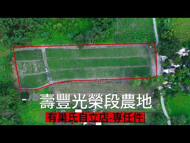 F113花蓮壽豐鄉光榮段好山好水好農地