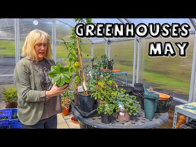 May Greenhouse || Exciting New Plants, Seedlings, Rare Fruit, a Big Loss & Amazing Scents