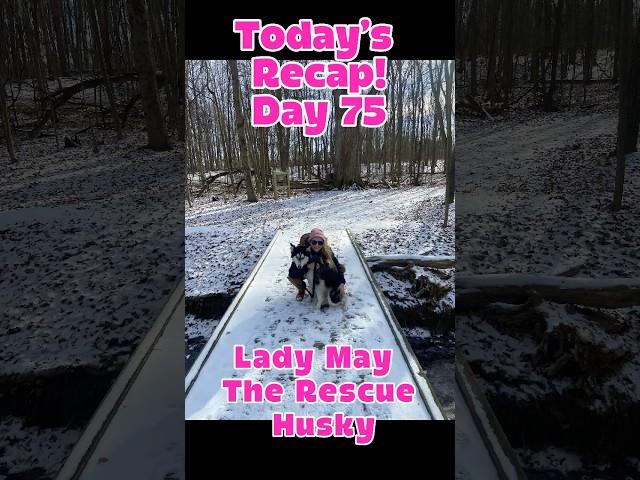 Winter hikes with Lady May The Rescue Husky! Day 75 #healing #rescuedog #dogmom #dogshorts #dogvideo