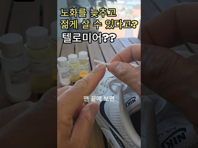 텔로미어를 알면 노화 늦추는 방법도 알게 될까? #노화늦추는방법 #텔로미어