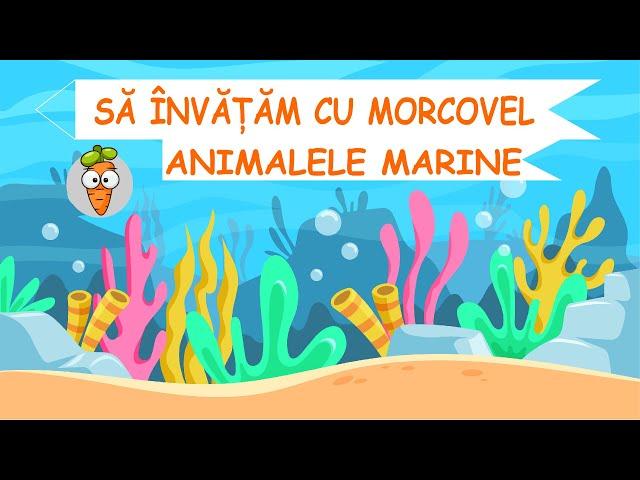 Sa invatam cu Morcovel - Animalele Marine