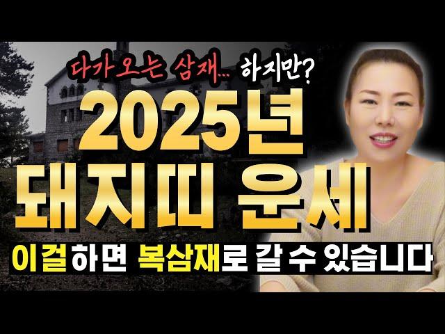 2025년 을사년 돼지띠운세 가장 신경써야할 삼재.. 하지만?? [인천용한점집 청화신당]