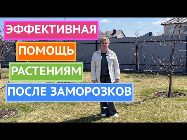 ПОМОГИТЕ РАСТЕНИЯМ ВОССТАНОВИТЬСЯ ПОСЛЕ СТРЕССА!