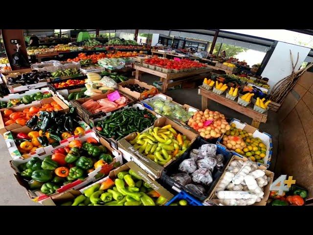 First Coast Gems: The oldest farmers market in Florida is located right here in Jacksonville