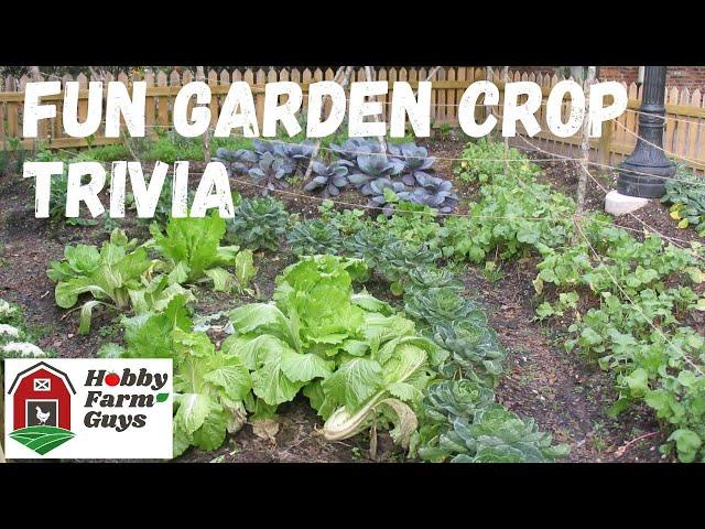 Fun Garden Crop Trivia