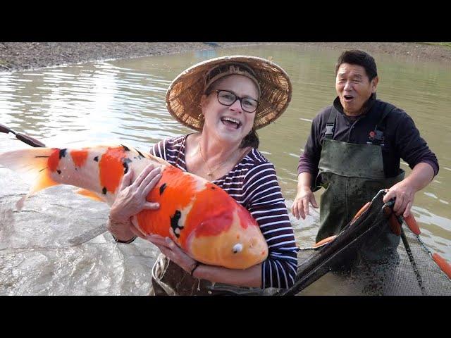 MOM CATCHES JUMBO KOI FISH!! *Worth Millions* Hidden Mud Pond!!
