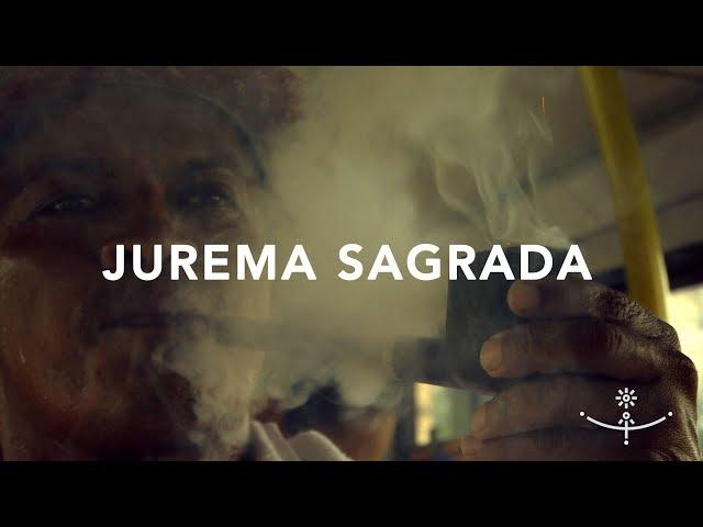 JUREMA SAGRADA (Híbridos, the Spirits of Brazil)