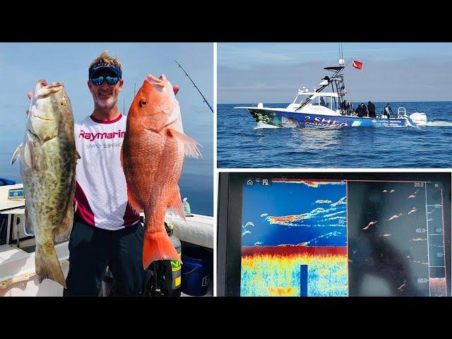 Raymarine Live:   Dive into Gulf Fishing with Captain TJ Shea