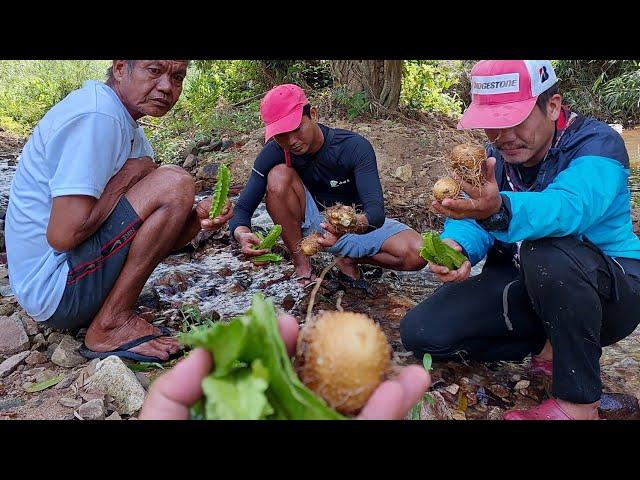 Sigarilyas na ligaw at lima lima ang nakita namin sa bundok dikit dikit ang laman