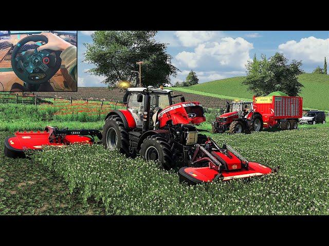 Mowing & Collecting Clover w/ Massey Ferguson 8700S - FS 19 | Logitech g29 gameplay