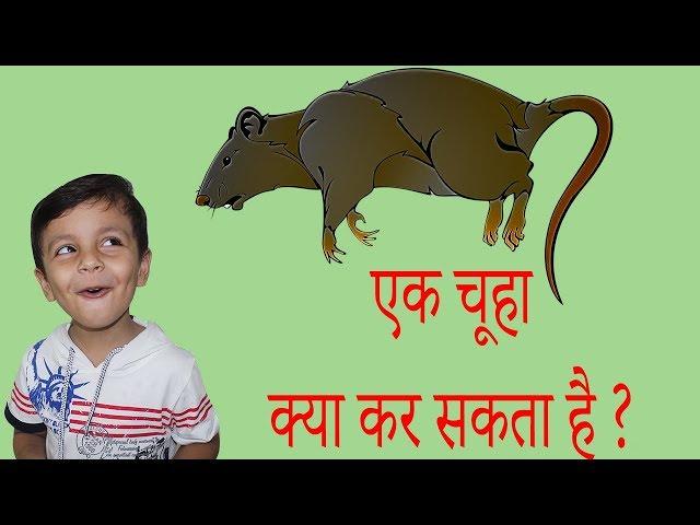 TOP 10 FACTS ABOUT RATS | Indian Funny Videos | Hindi Videos for kids | Aayu and Pihu Show