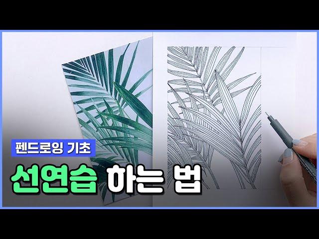 펜드로잉 기초 선연습 꿀팁 대방출 / Pen and ink drawing, line practice