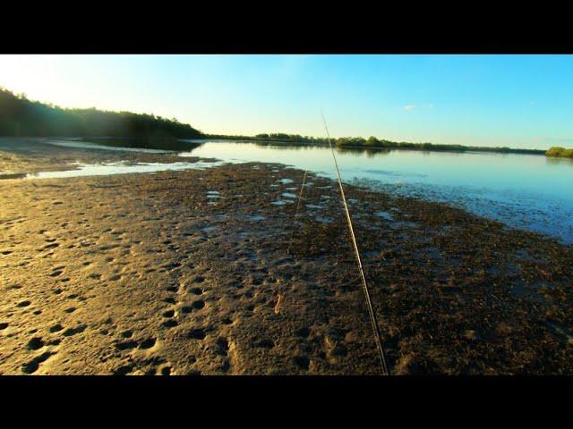 Big Flathead On A Tiny Lure (Land Based Fishing)