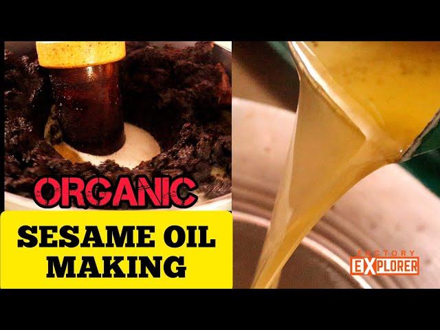 HOW? Sesame Oil is made? | Wood Pressed Oil | Factory Explorer