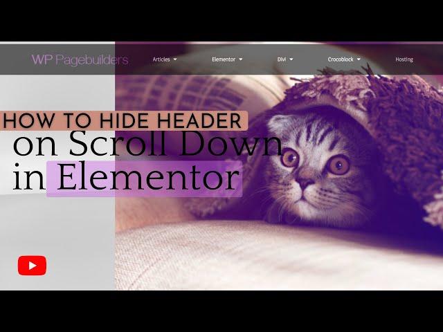 How to Hide Header on Scroll Down in Elementor