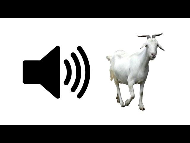 Goat - Sound Effect | ProSounds