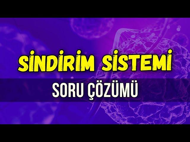 SİNDİRİM SİSTEMİ SORU ÇÖZÜMÜ l Seda Hoca Biyoloji #ayt2024