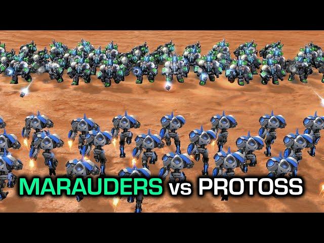 Marauders vs EVERY PROTOSS GROUND UNIT 【Daily StarCraft Brawl】