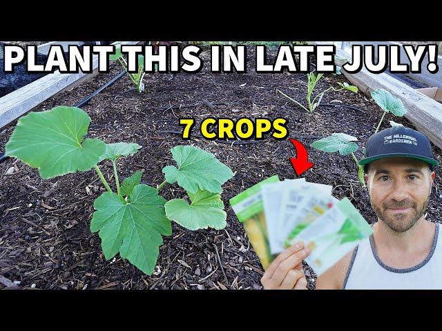 7 Veggies You Can STILL Plant In Late July RIGHT NOW!