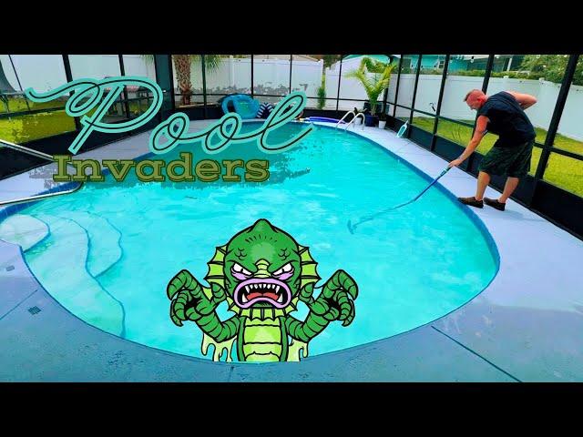 Pool Invaders, DIY Home Projects Vlog