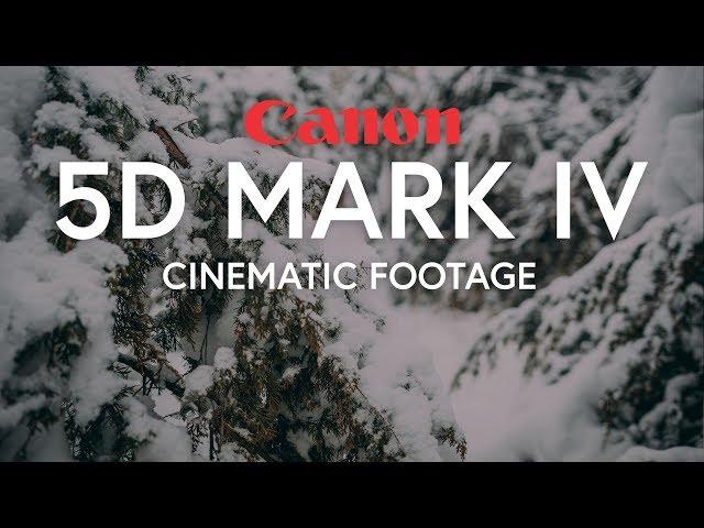 5D Mark IV Cinematic Footage | Ronin S