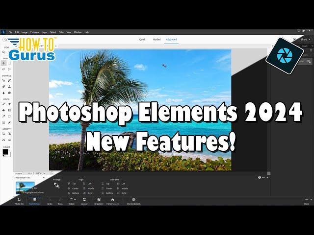 What's New in Photoshop Elements 2024