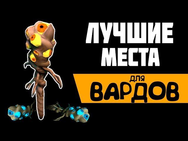 ЛУЧШИЕ МЕСТА для ВАРДОВ | Вардинг