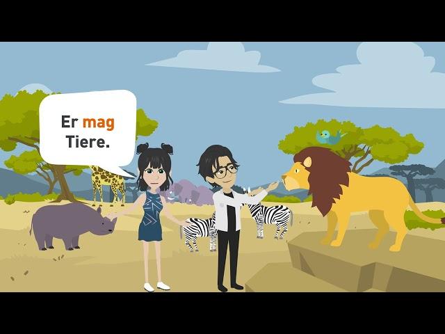 Learning German | Can you pet a lion? | Modal verbs